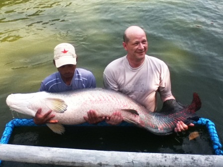 55kg arapaimacomp.jpg