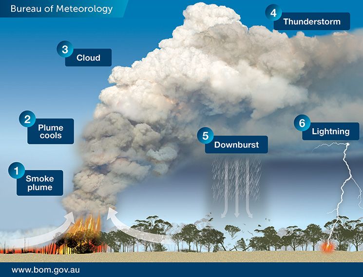 The stages of development of a pyrocumulonimbus cloud. Image courtesy of the Bureau of Meteorology.