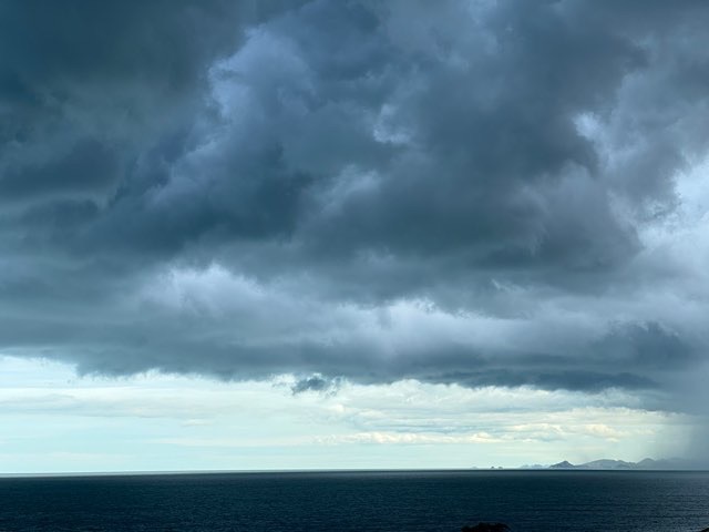 IMG_8205.jpeg