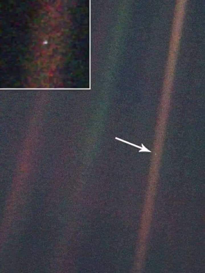 457475616_2347476522121866_6289731430517582144_n.jpg