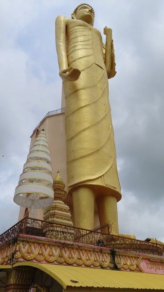 IMG_3883.jpg