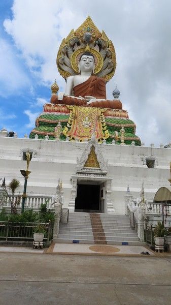 IMG_3894.jpg