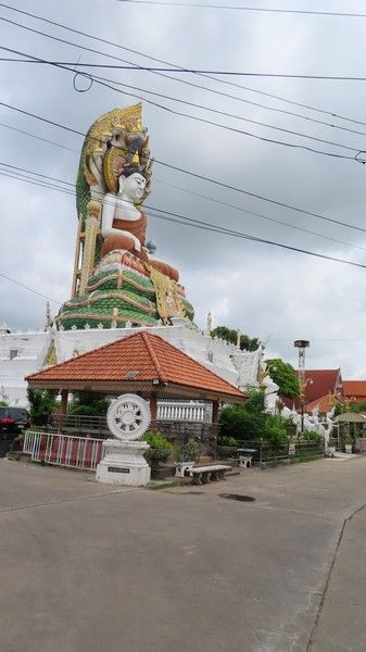 IMG_3896.jpg