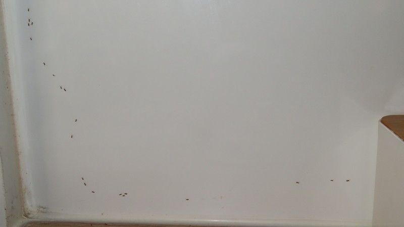 IMG_3777.jpg