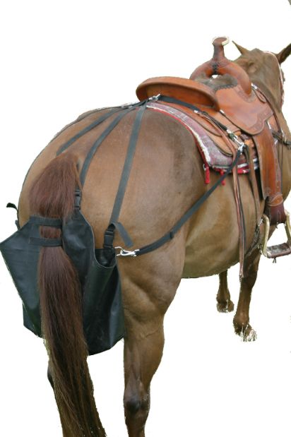 seen on horses pulling carts when i was a kid
