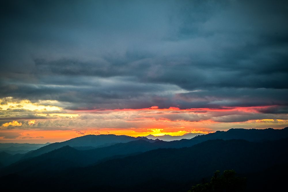 DSC_2294.jpg