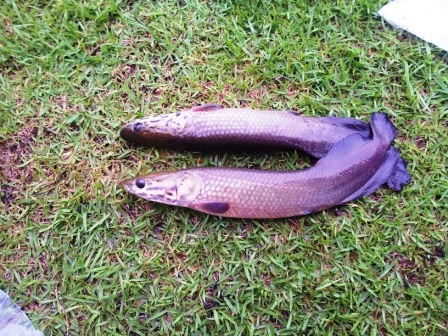 20120914_1738401.jpg