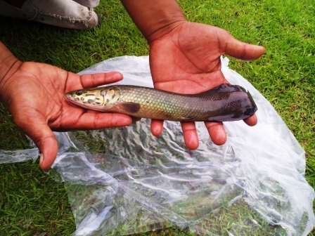 20120914_1738071.jpg