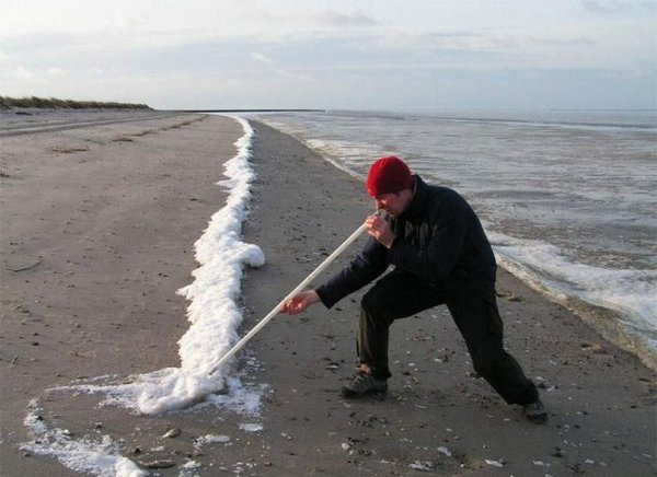 00007542 (612 x 445).jpg