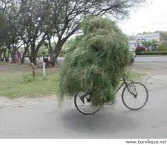 bike2.jpg