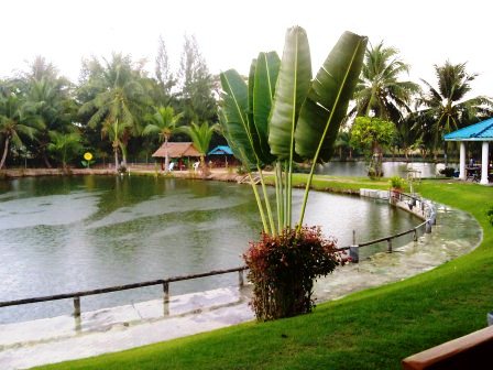 290120131025.jpg