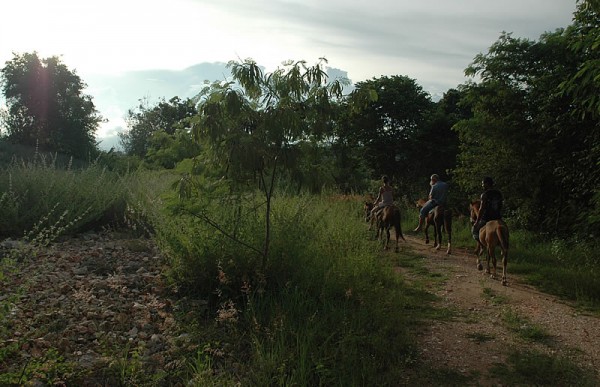 Into the sunset cowboy style