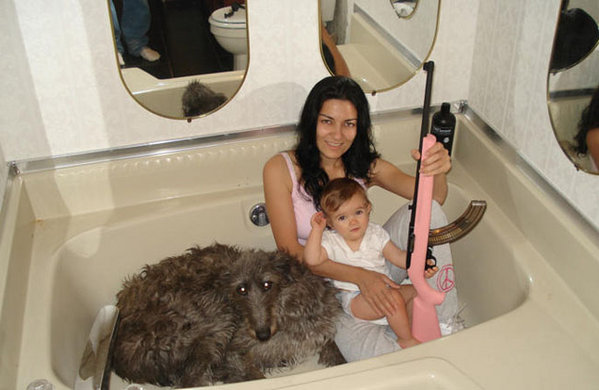explain-the-image-56.jpg