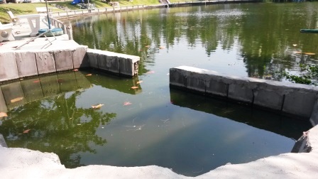20140118_113518.jpg