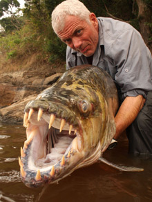 fish-220_1743285f.jpg